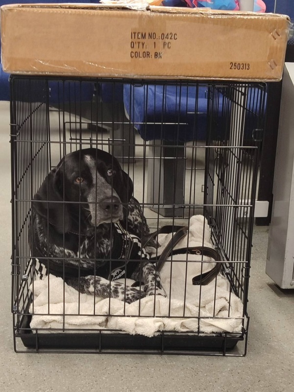    Приграничный Белгород. Старикам тут не место