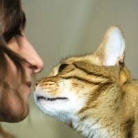 Фото из Интернета. 