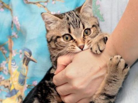 Фото из Интернета. 