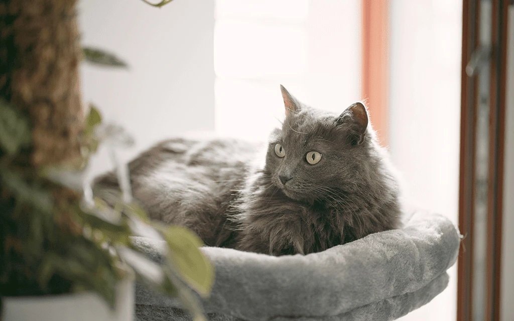 Фото из Интернета. 