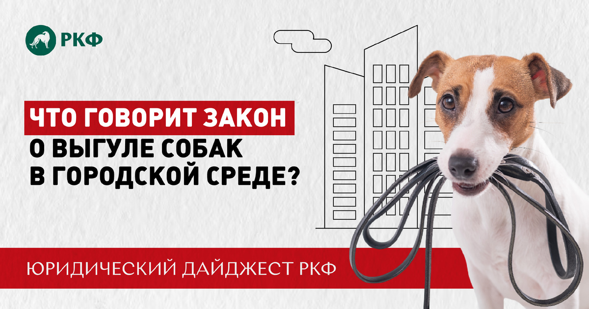 Юридический дайджест РКФ: Все о выгуле собак