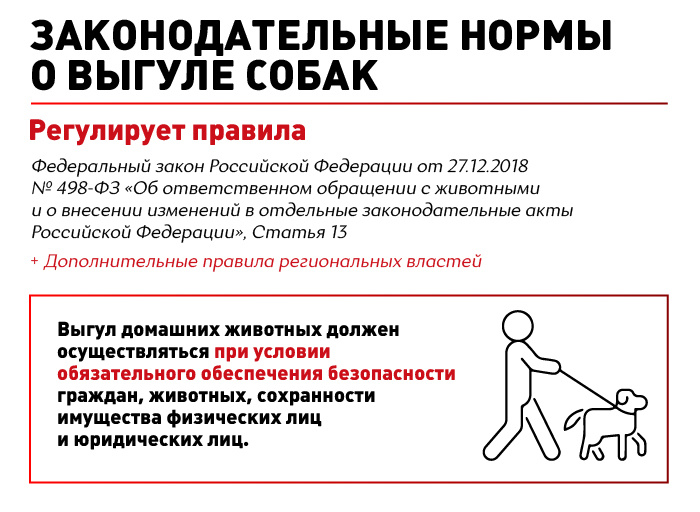 Листайте карусель, чтобы узнать больше