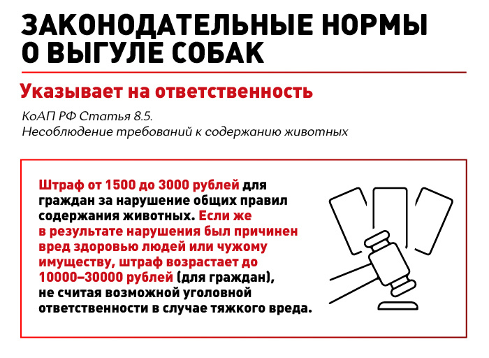 Юридический дайджест РКФ: Все о выгуле собак