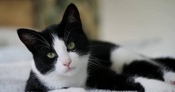 Фото из Интернета. 