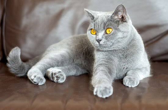 Фото из Интернета. 