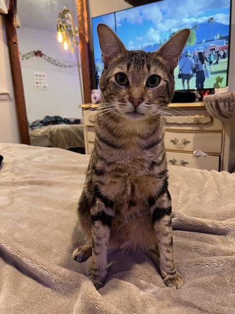 Фото из Интернета. 