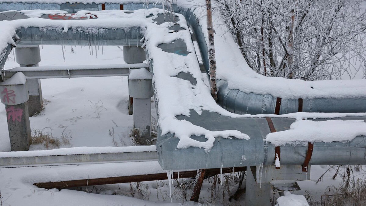    Фото: Андрей Ткачев/«Ямал-Медиа»