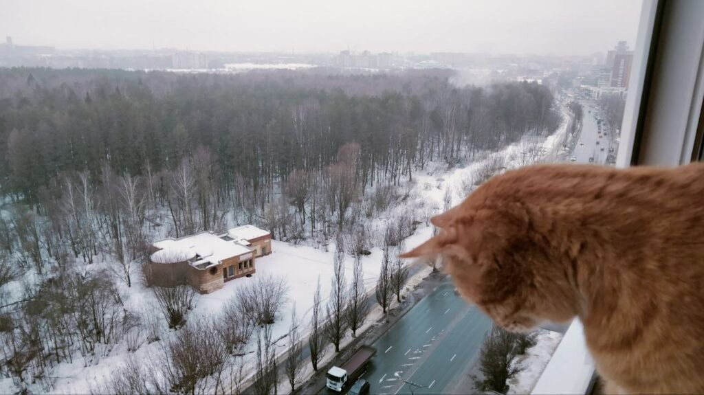    Анастасия Петрова