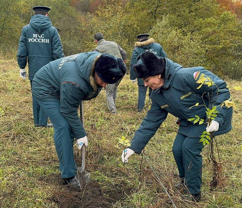 В акции «Сохраним лес» приняли участие более двухсот человек, в числе которых представители различных ведомств и волонтеры