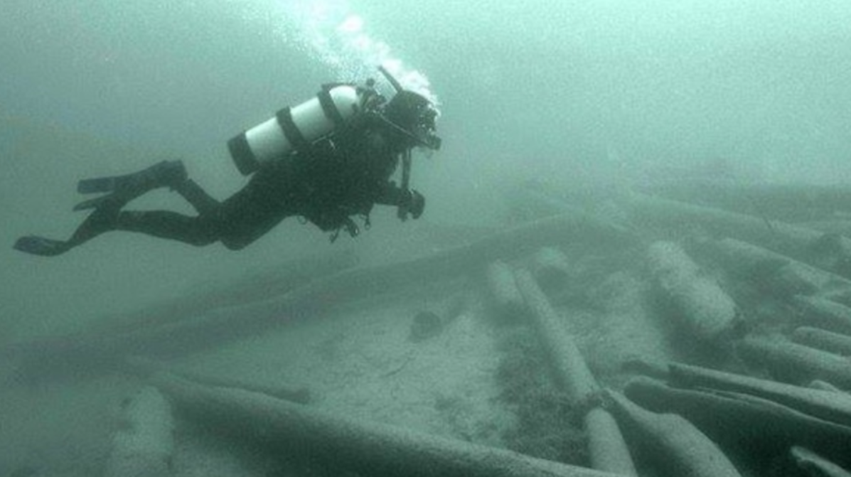 Подводные лесорубы