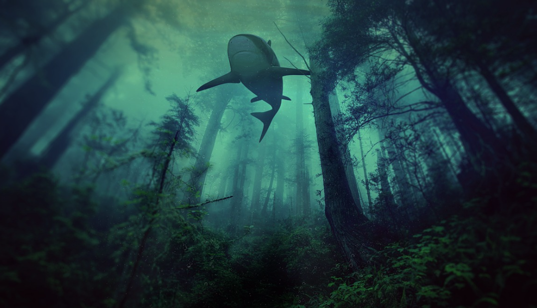 Лес под водой - не шутка