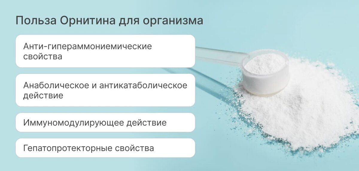 Польза орнитина