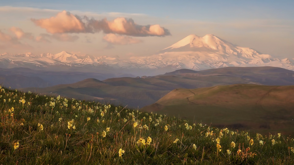  Бескрайнее цветочное полотно у подножия Эльбруса: крокусы, эдельвейсы, рододендроны и альпийские маки создают ковер из тысяч оттенков. На фоне — снежные вершины Кавказского хребта. Координаты: 43°15′ с.ш. 42°45′ в.д., Кабардино-Балкария. Высота над уровнем моря 2100 м. Температура воздуха +8°C, влажность 75%.