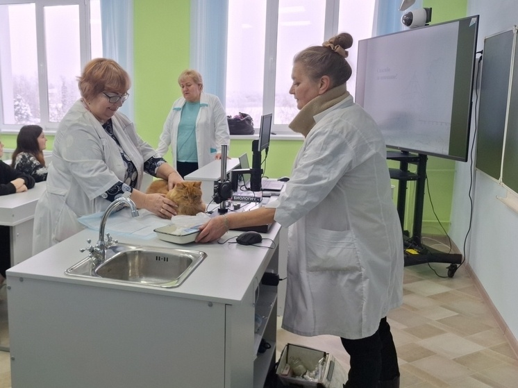     Теория плавно переросла в практику, и школьники смогли почувствовать себя настоящими врачами. Фото: Комитет ветеринарии Новгородской области