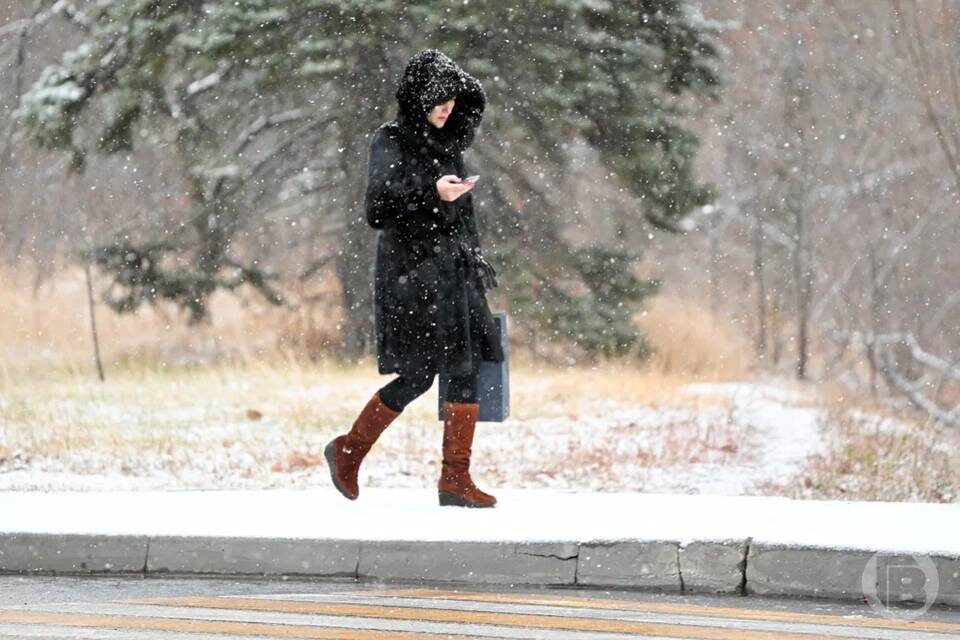    Фото: Дмитрий Рогулин / "Городские вести"