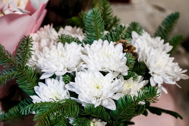   Фото из архива Калининград.Ru