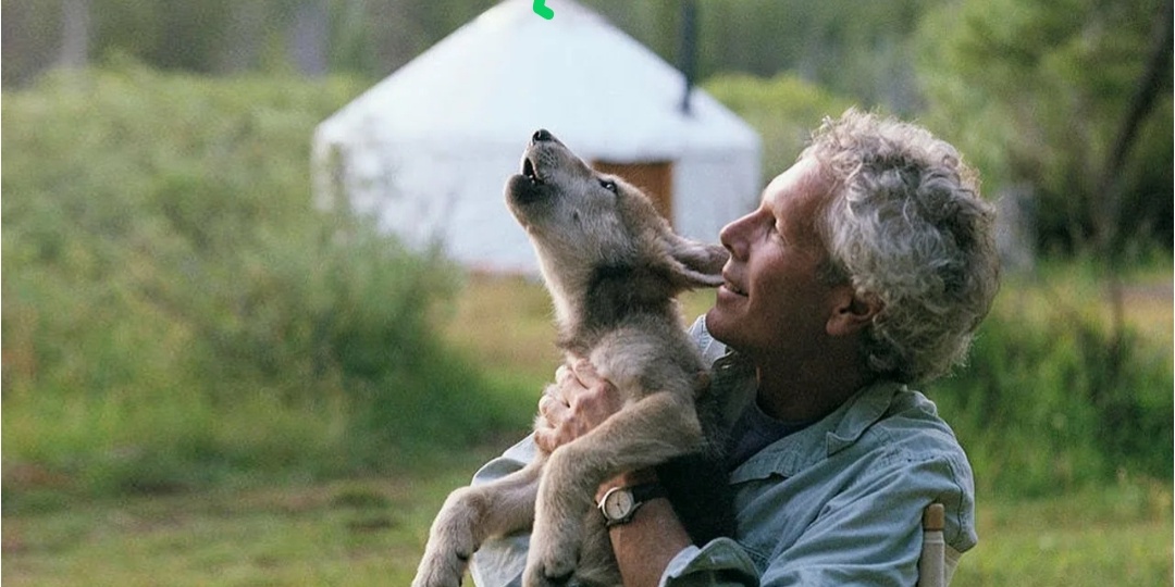 Игнат спас волчонка. Волк вернул долг человеку, когда это было необходимо больше всего