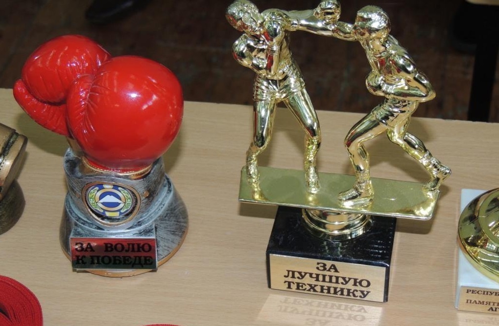 Маша с интересом рассматривала стены в комнате, которые были увешаны грамотами и медалями. А ещё и кубки на полках.