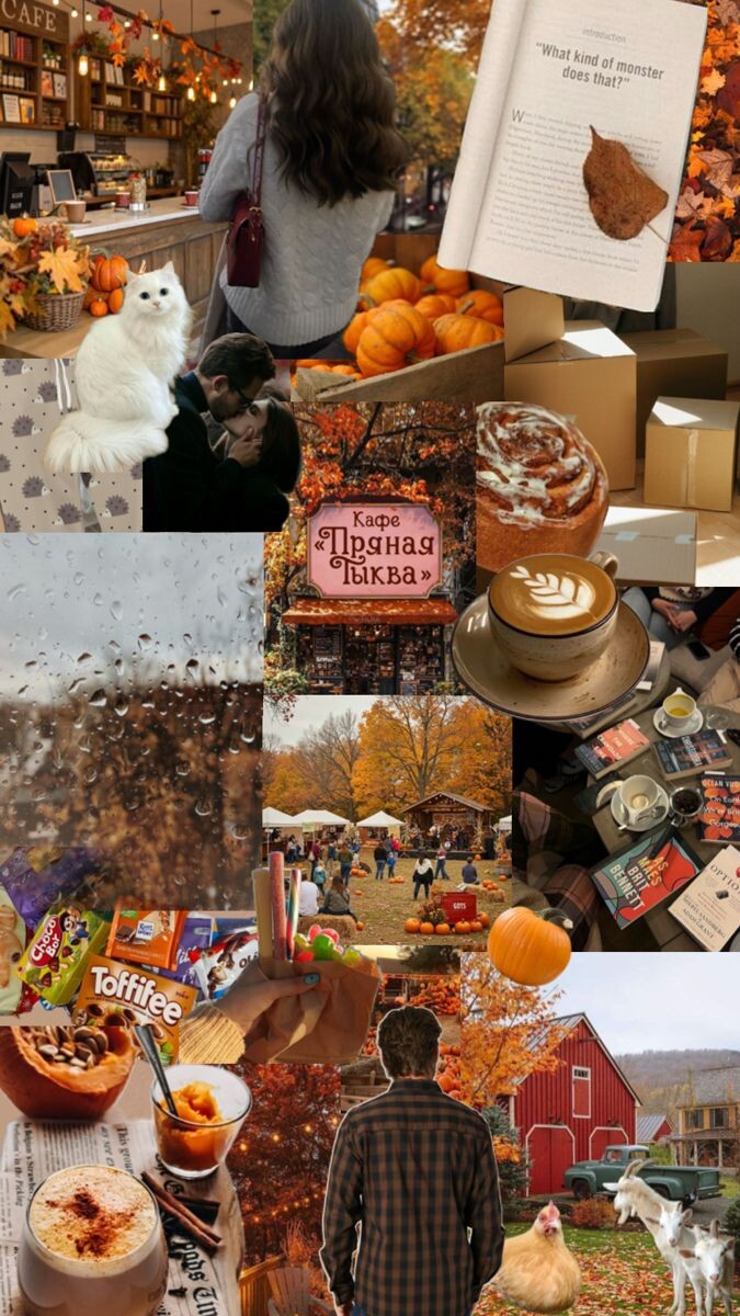 Картинка 100% не моя🙈 Лень создавать такой милый коллаж ради книги, которая не сильно впечатлила. Но в то же время хочется, чтоб вы понимали, какая в книге атмосфера. Поэтому я просто позаимствовала её у margo.demi: https://pin.it/2NF01KsWV