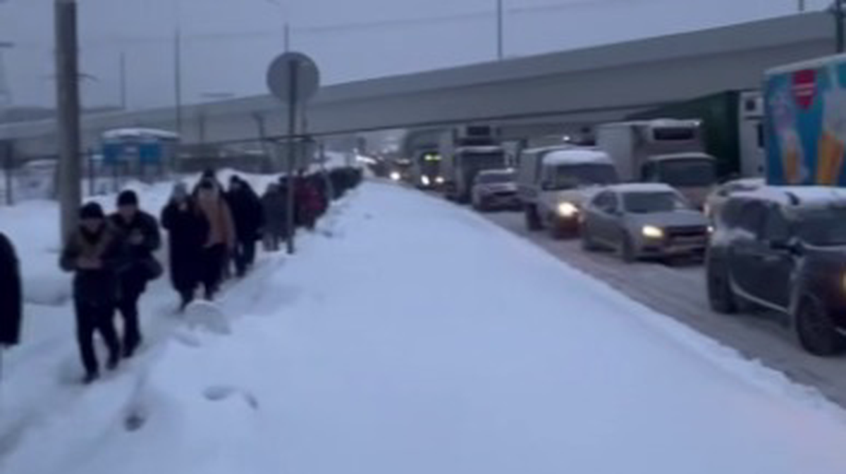    Фото: Скриншот с видео / Москва 24 / Telegram