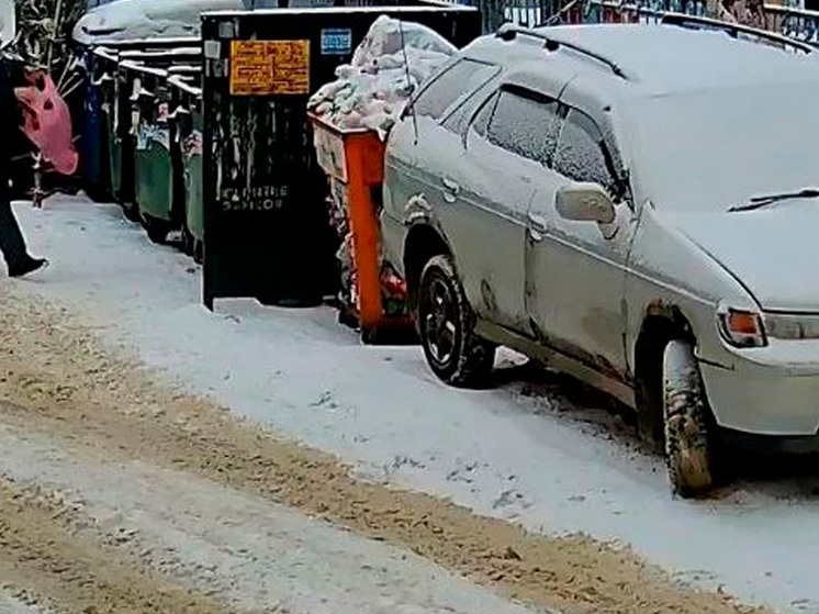     фото: Официальный канал Министерства природных ресурсов и экологии Липецкой области