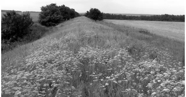 Сохранившийся 3-километровый участок вала восточнее с. Красное
