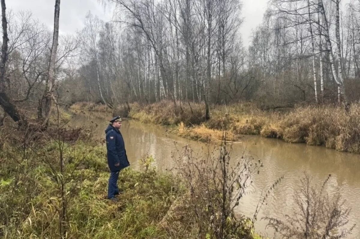    Во Владимирской области в реки Пекша и Волкуша сливали навоз