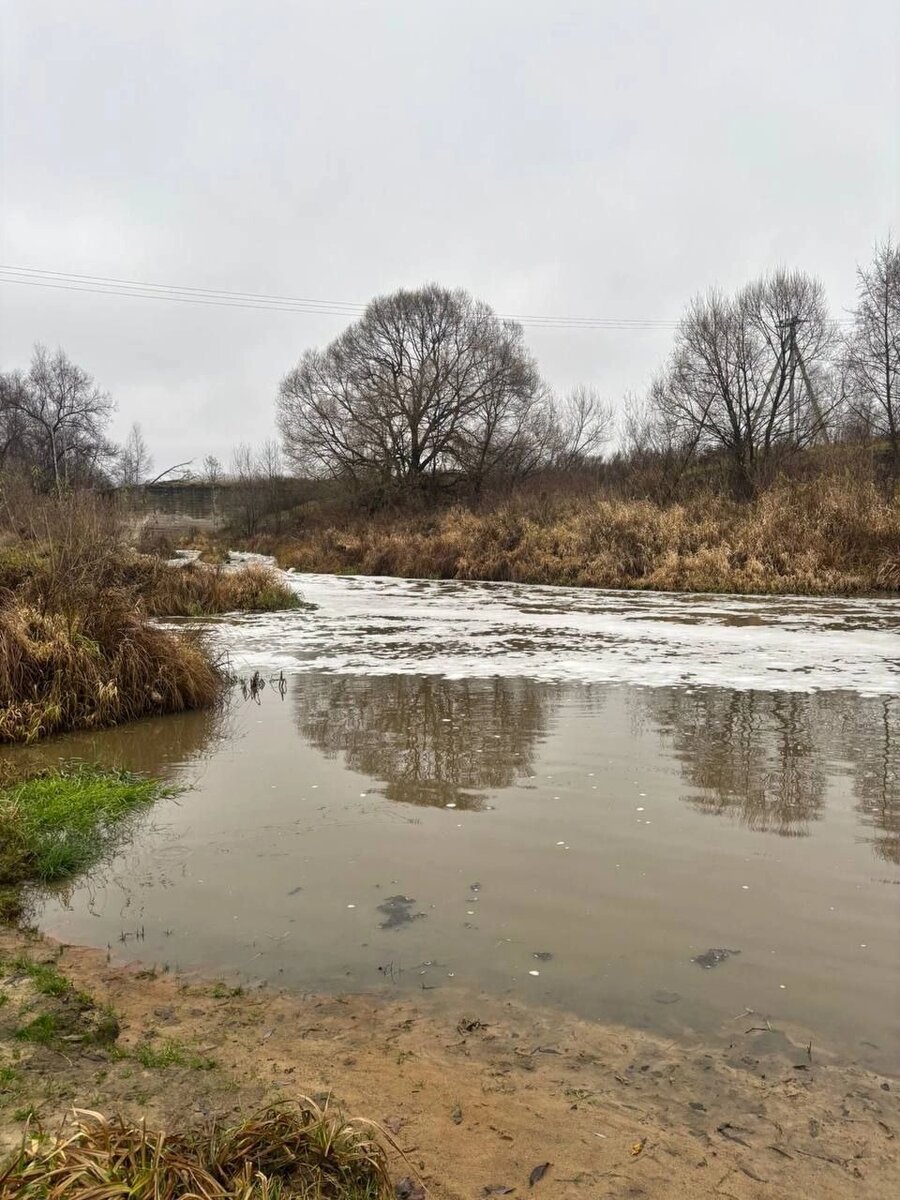    Фото: прокуратура Владимирской области