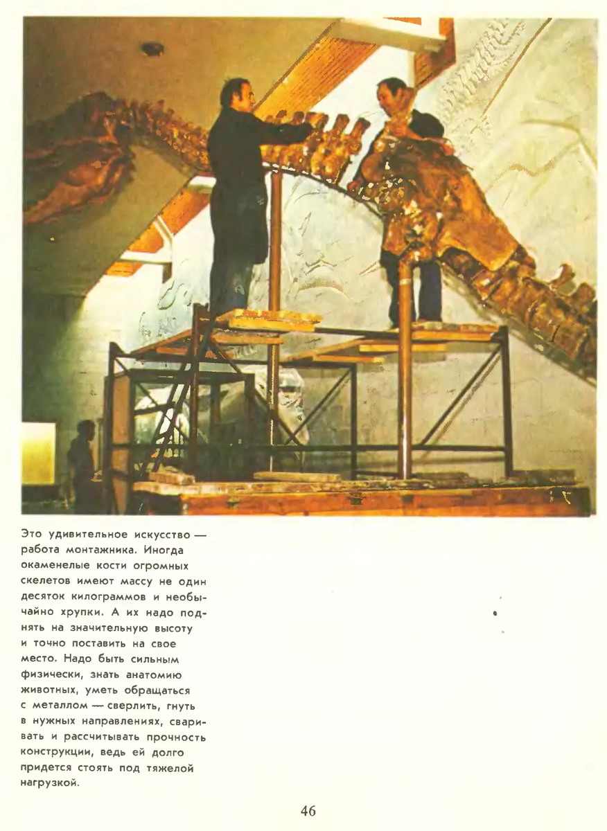 Сборка скелета тарбозавра (Tarbosaurus) в зале Палеонтологического музея