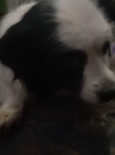 Старичок ....