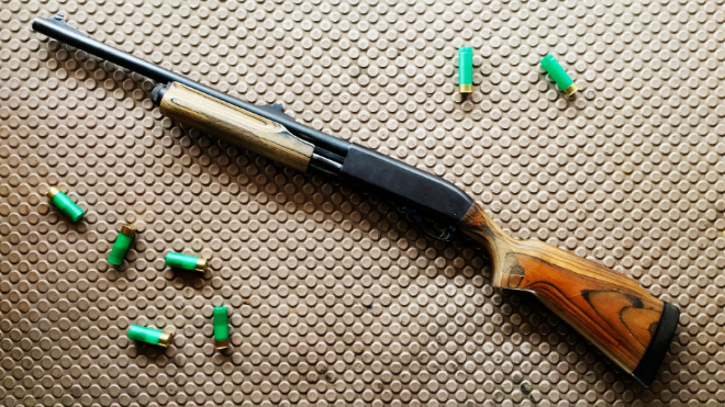 Фото: https://ru.freepik.com/free-photo/shotgun-bullets_2769615.htm#