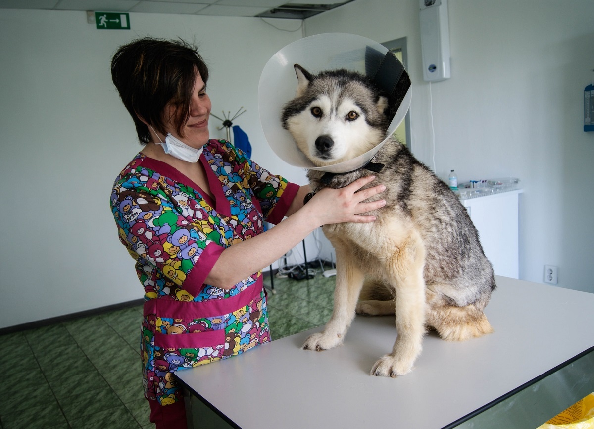 Фото: hornews.com