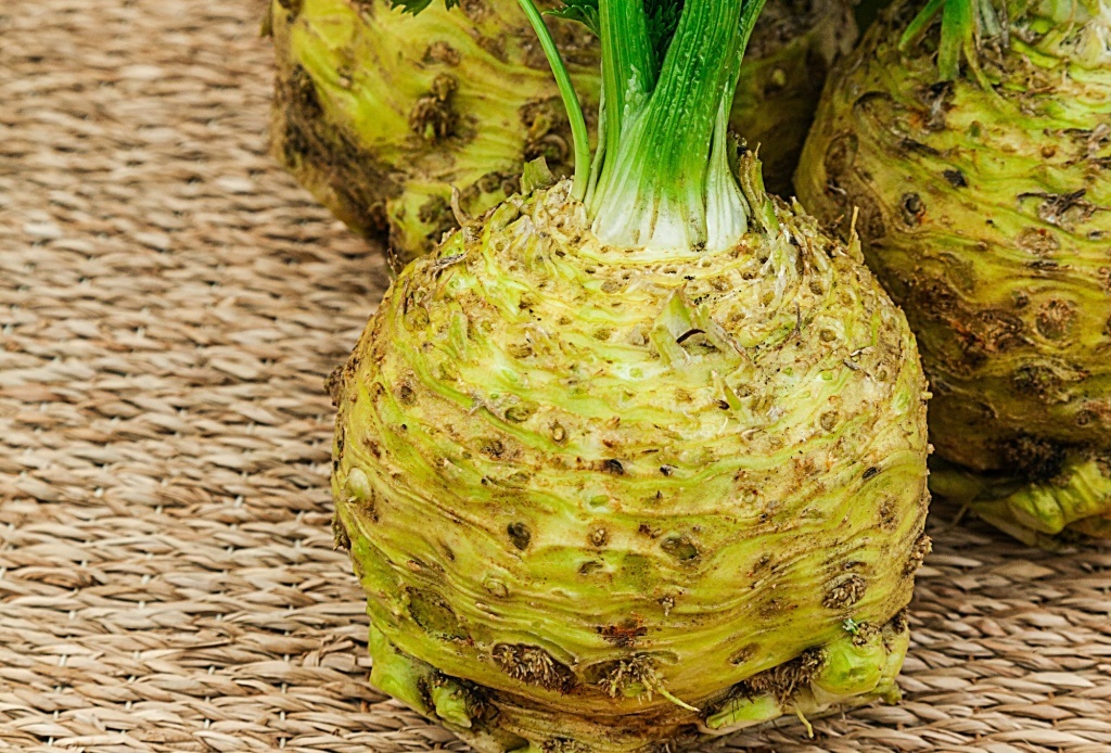  Сельдерей Силач