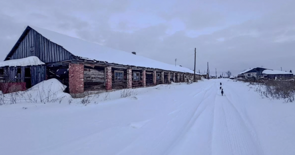 В Курганской области выставили на продажу три крупных агрокомплекса