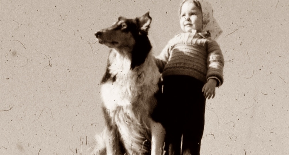 Не все то золото, что с родословной!