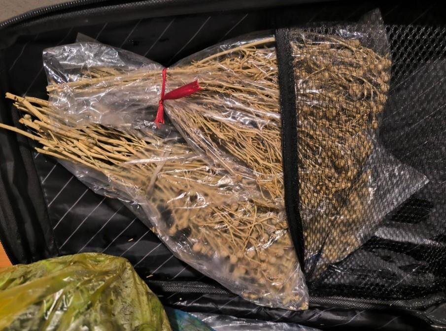    фото предоставлено Пермским линейным отделе МВД России