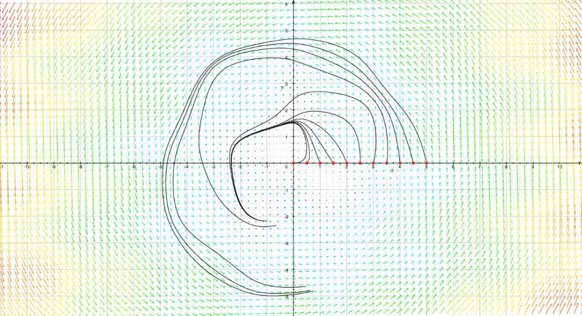    График некоторых частных интегралов дифференциального уравнения / © Einsteinino, Wikipedia