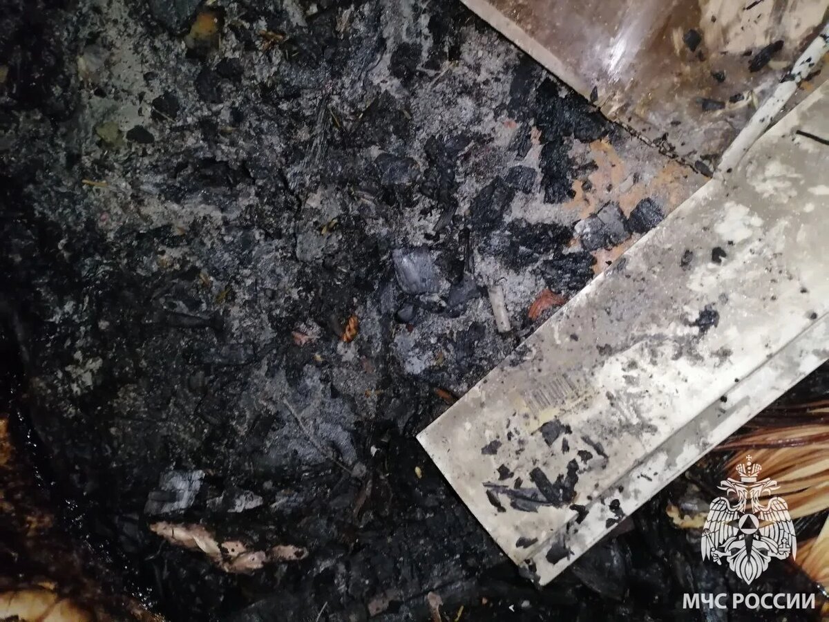     Фото предоставлено пресс-службой ГУ МЧС по Воронежской области