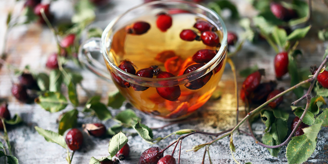 Чем полезен шиповник и как его заваривать