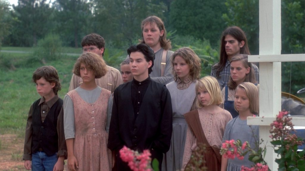 Фото из свободных источников.