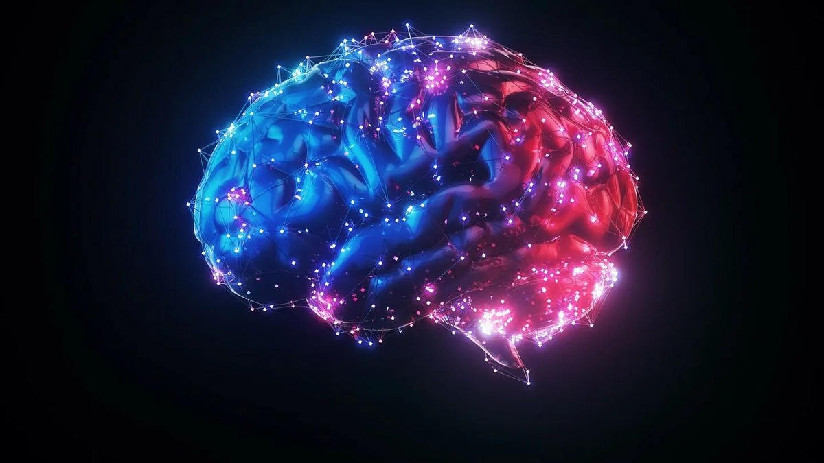 Его Величество Мозг