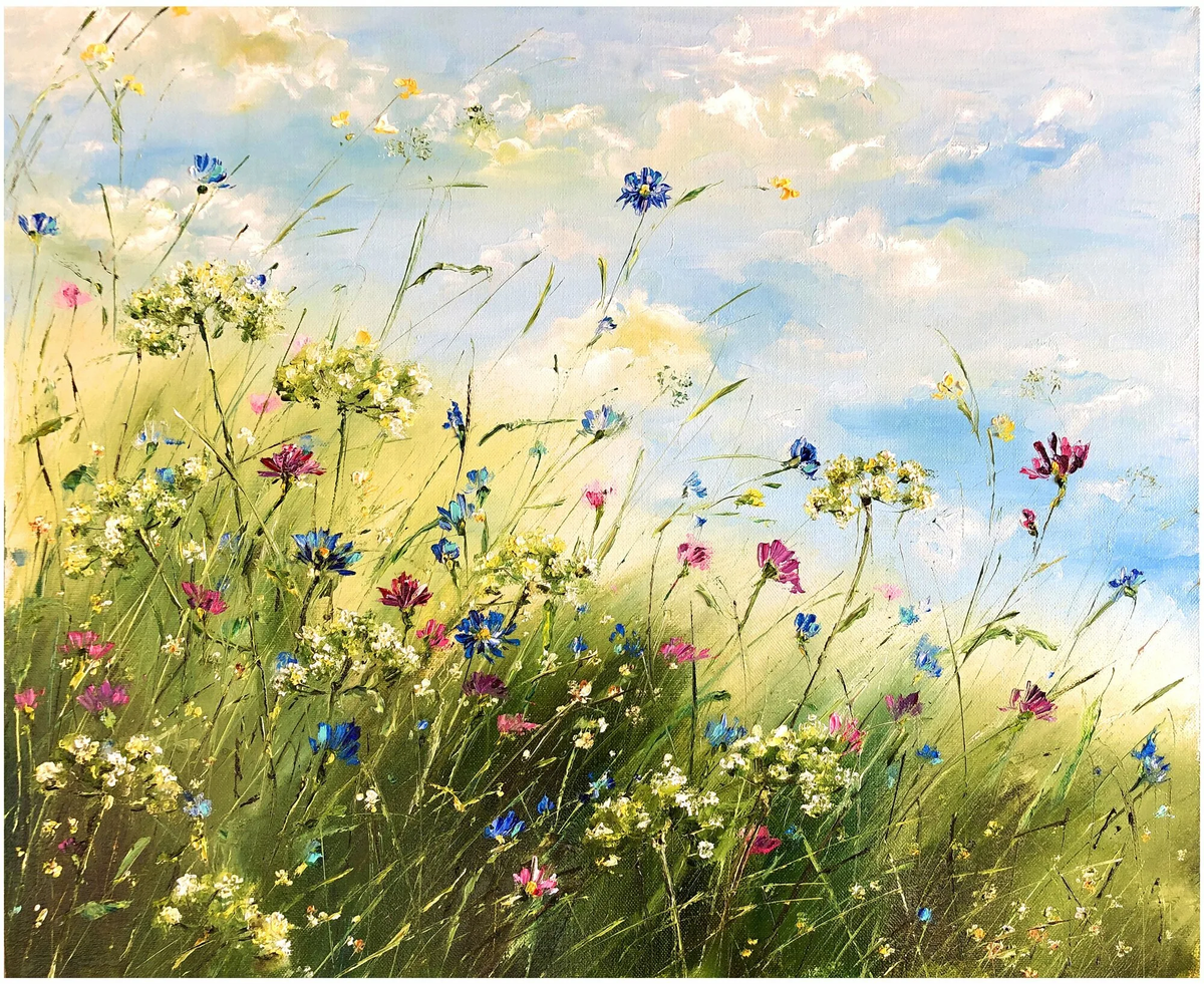 полевые цветы