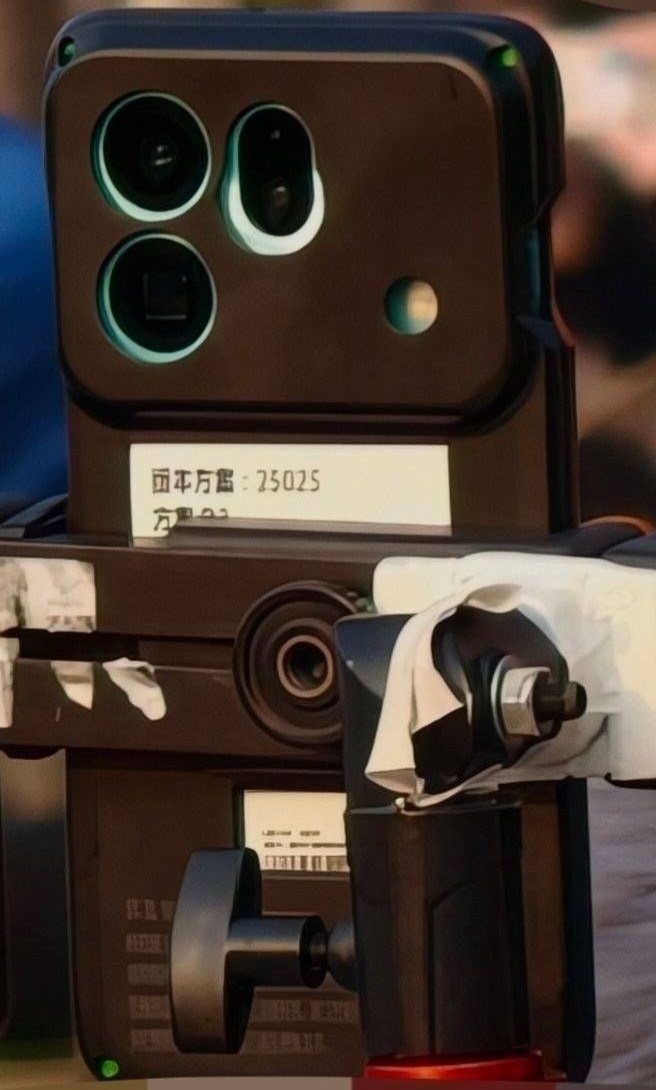     Фото: Panda Is Bald