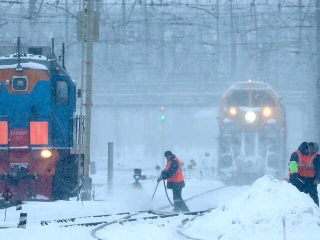   Фото: ТАСС/Станислав Красильников