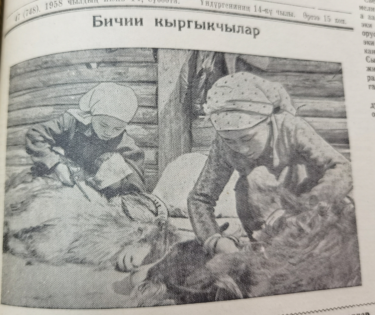 Дети до смартфоновской эры не скучали: они стригли овец