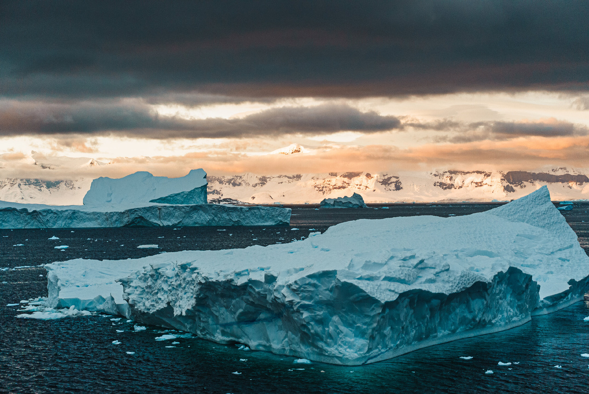 Антарктида, январь 2026 год (экспедиционый круиз)