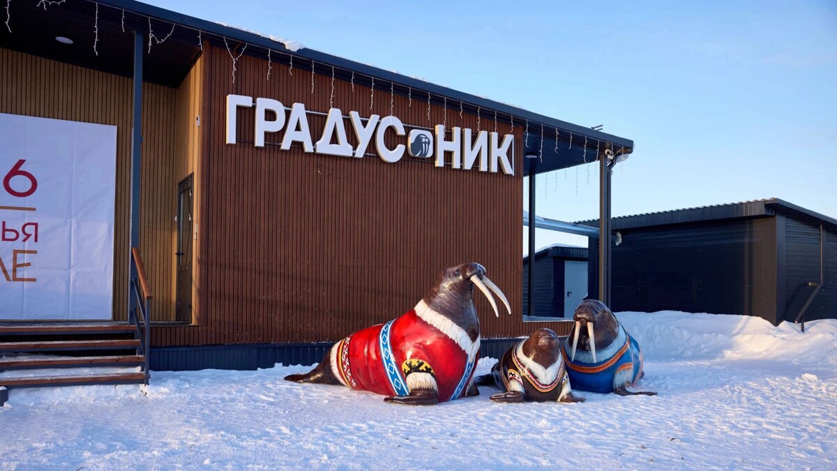    Фото: Юрий Здебский/«Ямал-Медиа»