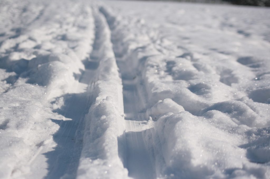    Фото: pixabay.com