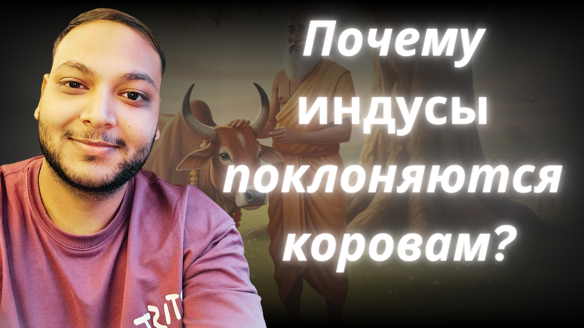 Почему индусы поклоняются коровам? – Самое логичное объяснение