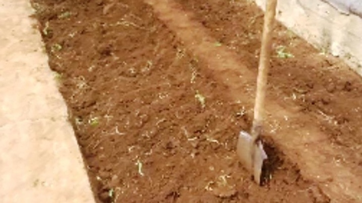 Траншеи готовы к посадке - четкая геометрия экономит место